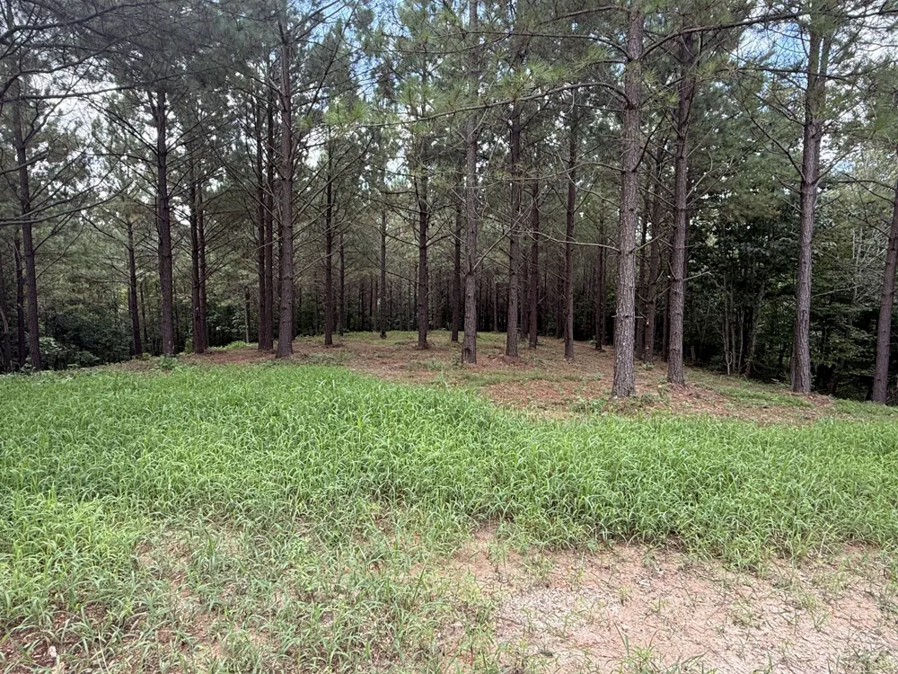 5608 Old Hohenwald rd Linden, TN 37096