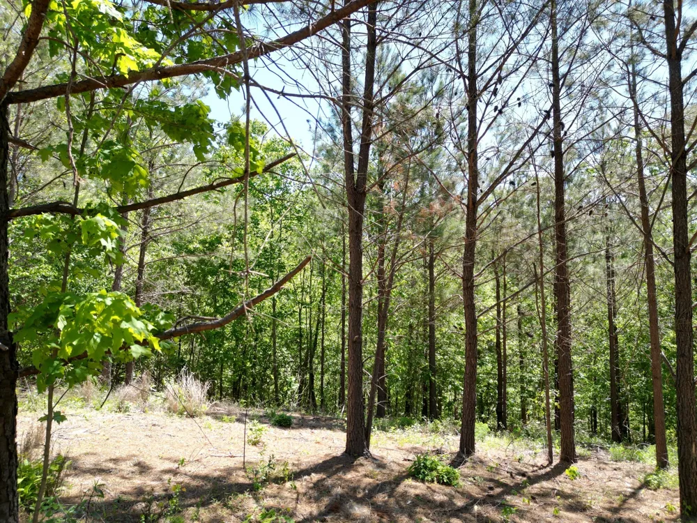 5608 Old Hohenwald rd Linden, TN 37096