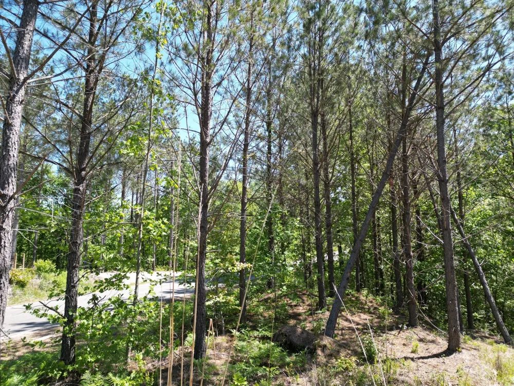 5608 Old Hohenwald rd Linden, TN 37096