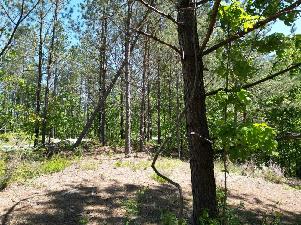 5608 Old Hohenwald rd Linden, TN 37096