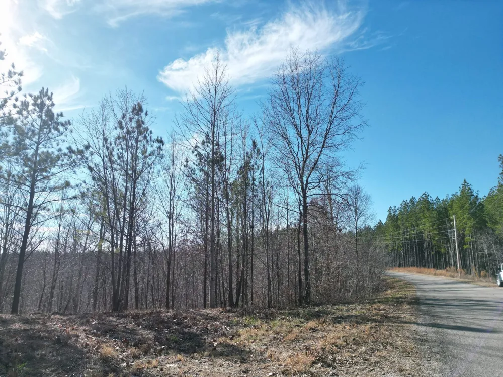 5608 Old Hohenwald rd Linden, TN 37096
