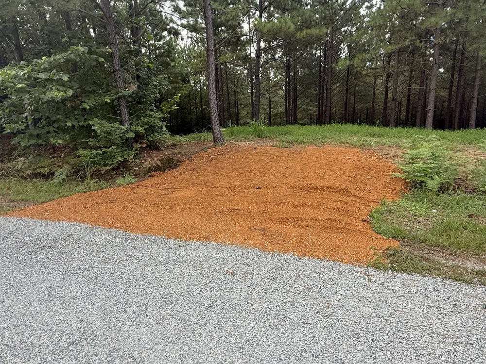 5608 Old Hohenwald rd Linden, TN 37096