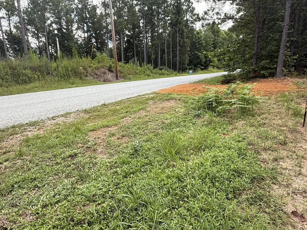 5608 Old Hohenwald rd Linden, TN 37096