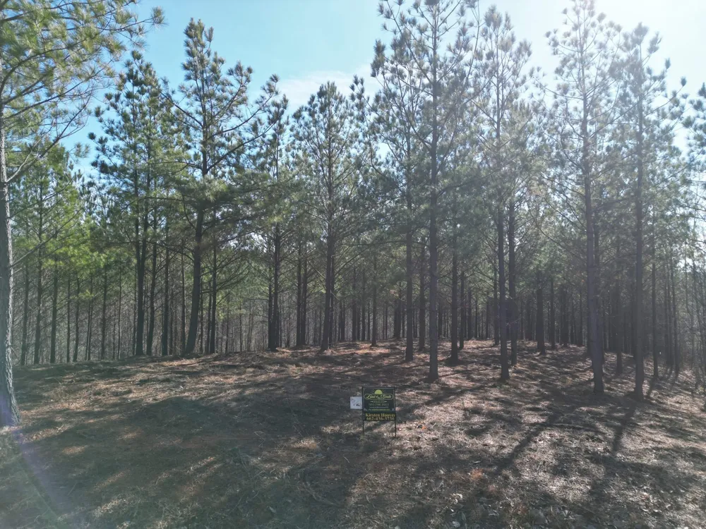 5608 Old Hohenwald rd Linden, TN 37096