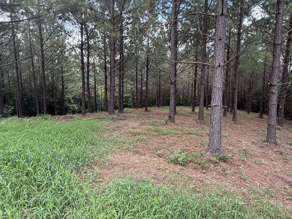 5608 Old Hohenwald rd Linden, TN 37096