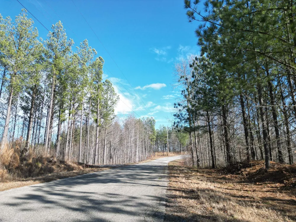 5608 Old Hohenwald rd Linden, TN 37096