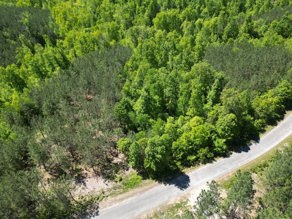 5608 Old Hohenwald rd Linden, TN 37096