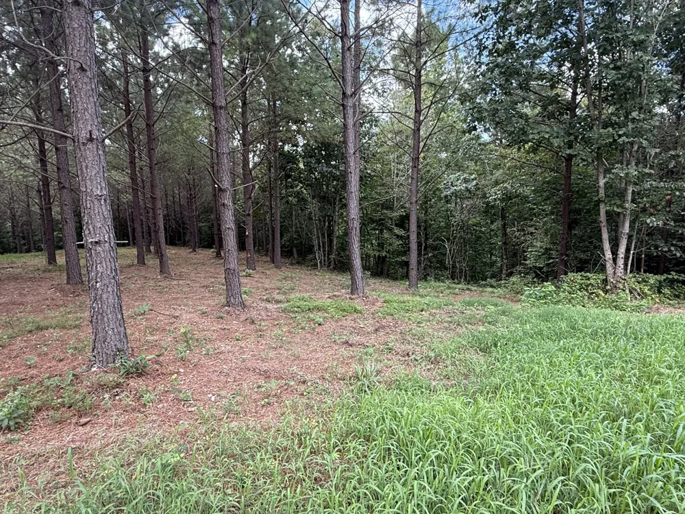 5608 Old Hohenwald rd Linden, TN 37096