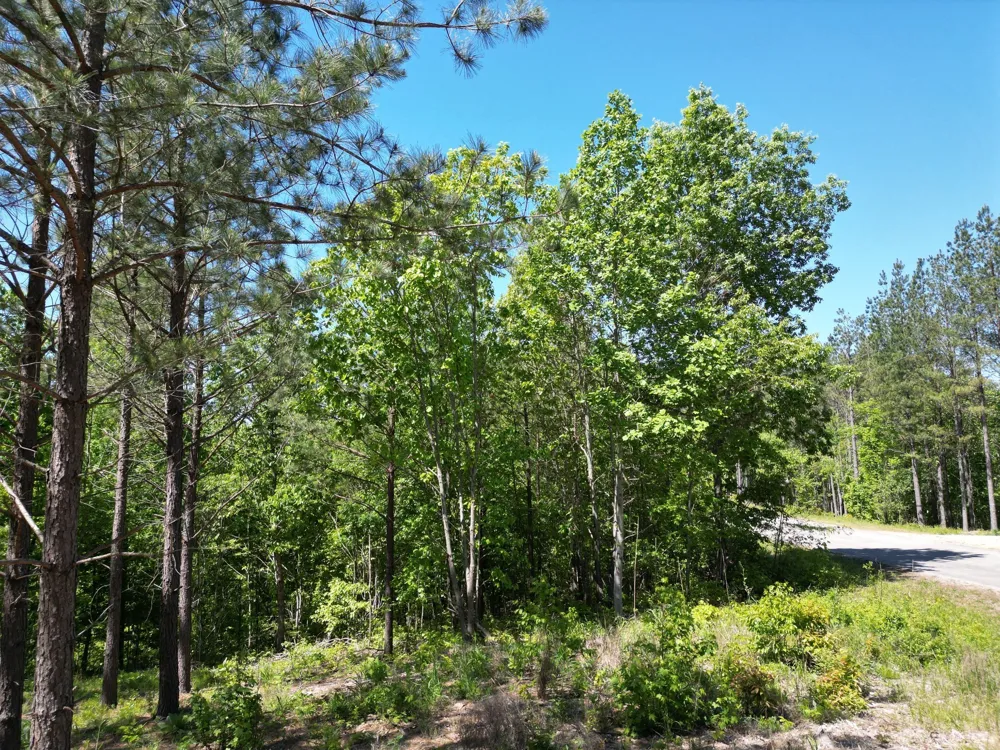 5608 Old Hohenwald rd Linden, TN 37096