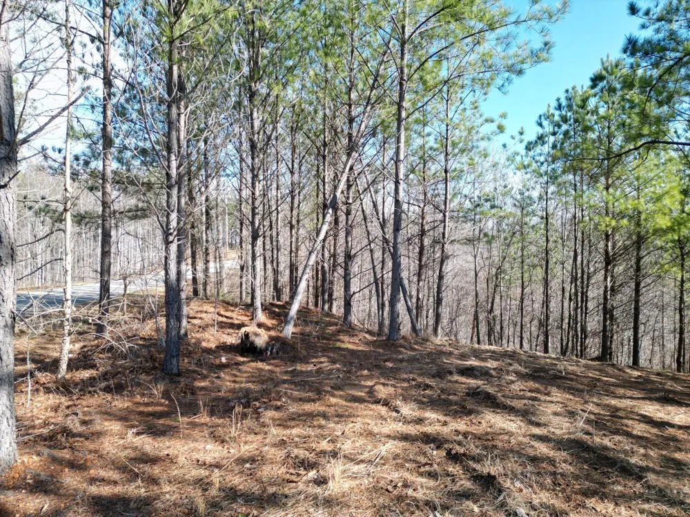 5608 Old Hohenwald rd Linden, TN 37096