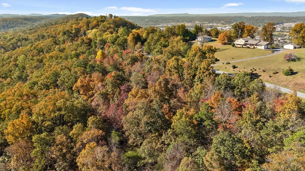 Clearview Drive Ringgold, GA 30736