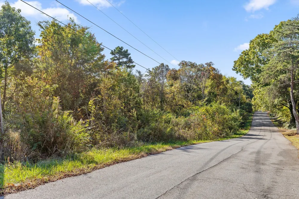 Clearview Drive Ringgold, GA 30736