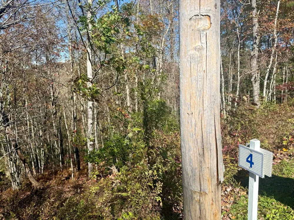 STONE CLIFFS LN Cashiers, NC 28717