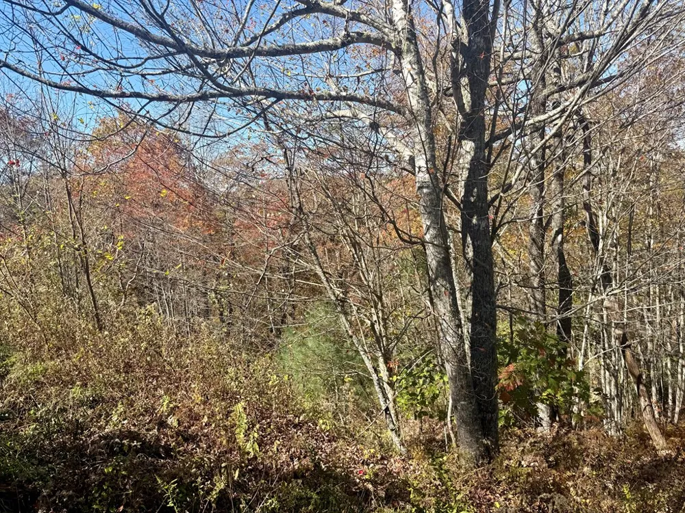 STONE CLIFFS LN Cashiers, NC 28717