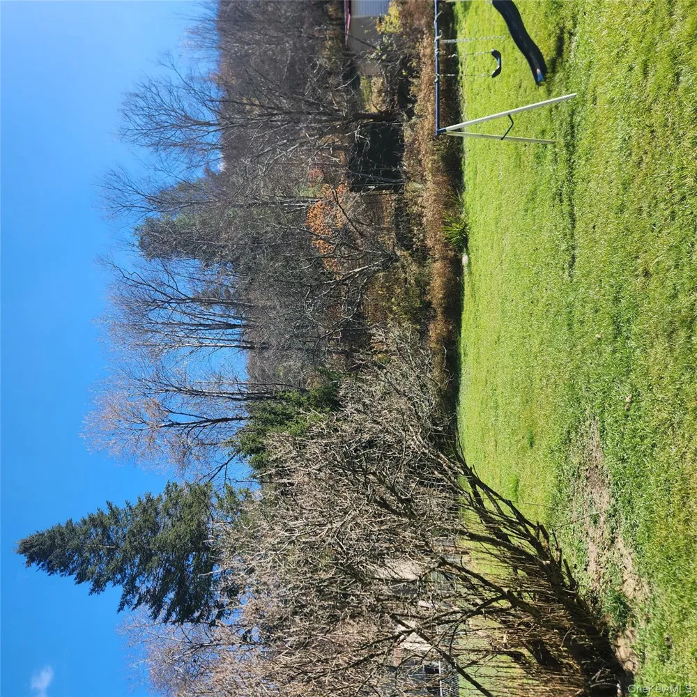 159 Main Street Livingston Manor, NY 12758