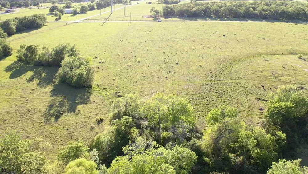 3679 Hidden Trail North Zulch, TX 77872