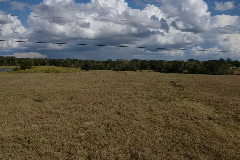 3679 Hidden Trail North Zulch, TX 77872