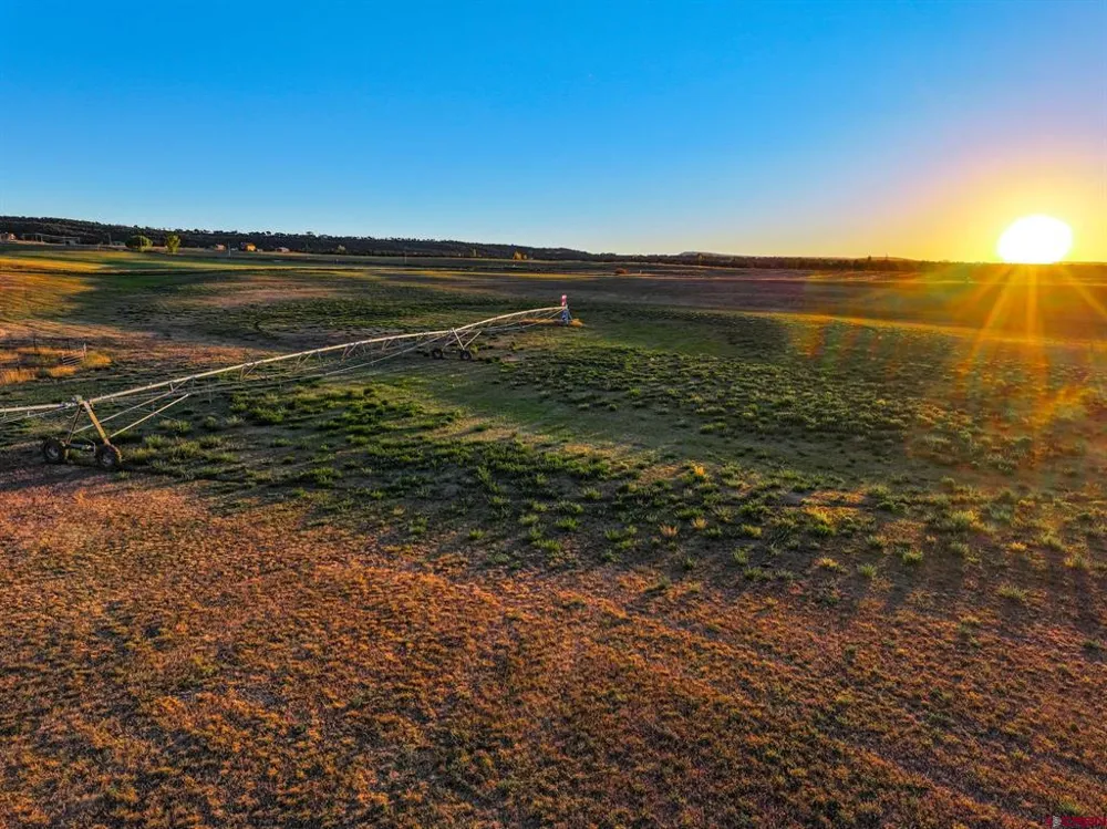 38480 Fruitland Mesa Road Crawford, CO 81415