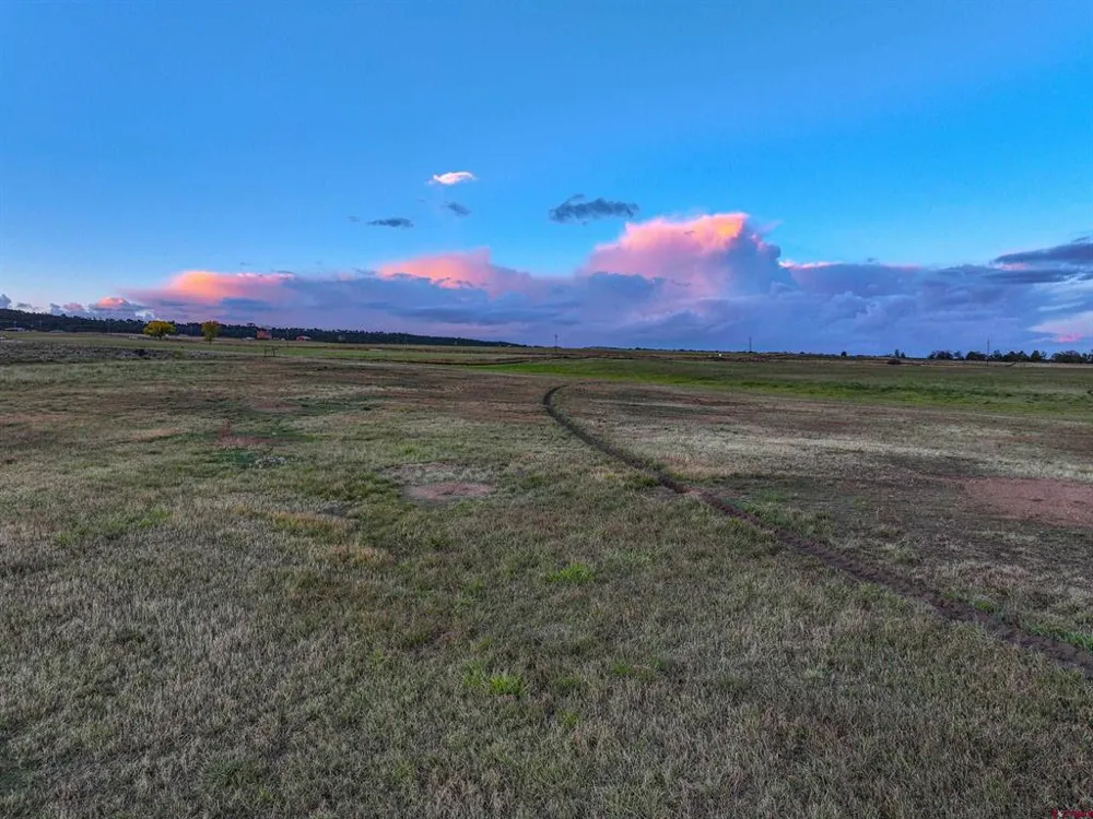 38480 Fruitland Mesa Road Crawford, CO 81415