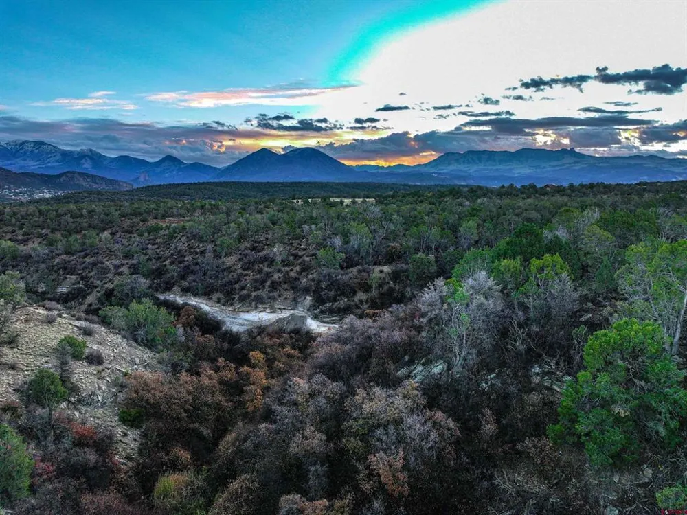 38480 Fruitland Mesa Road Crawford, CO 81415