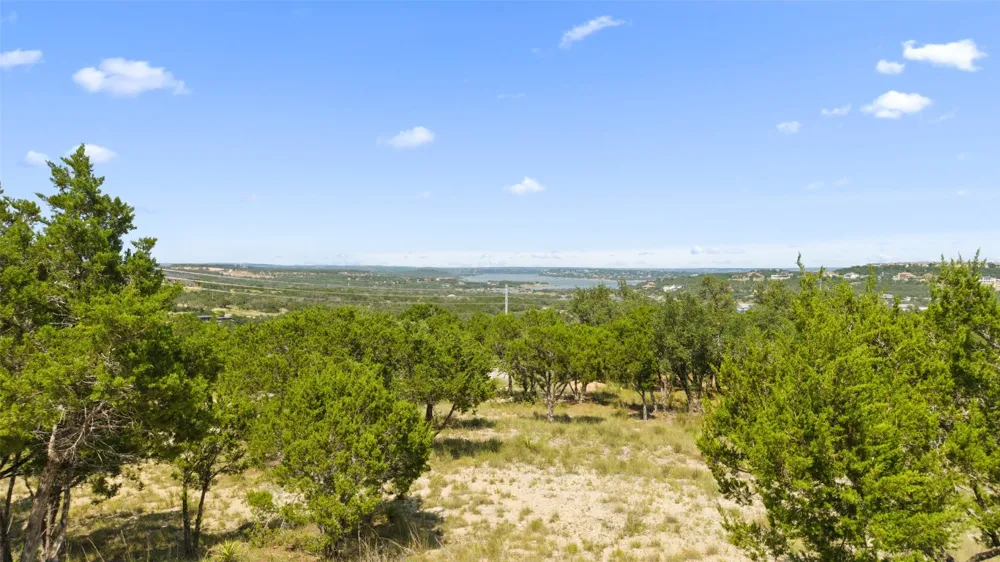 3301 R O DRIVE Spicewood, TX 78669