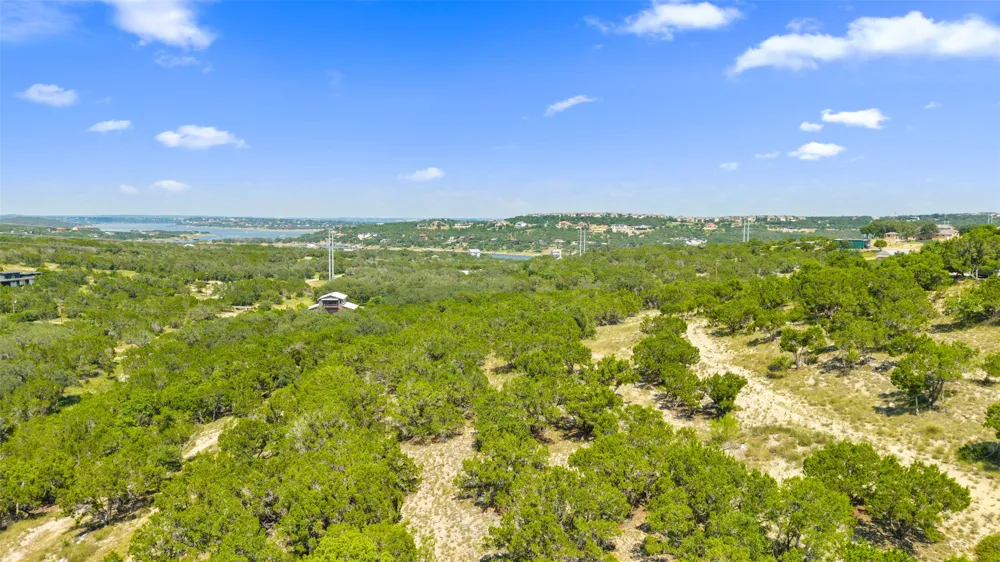 3301 R O DRIVE Spicewood, TX 78669