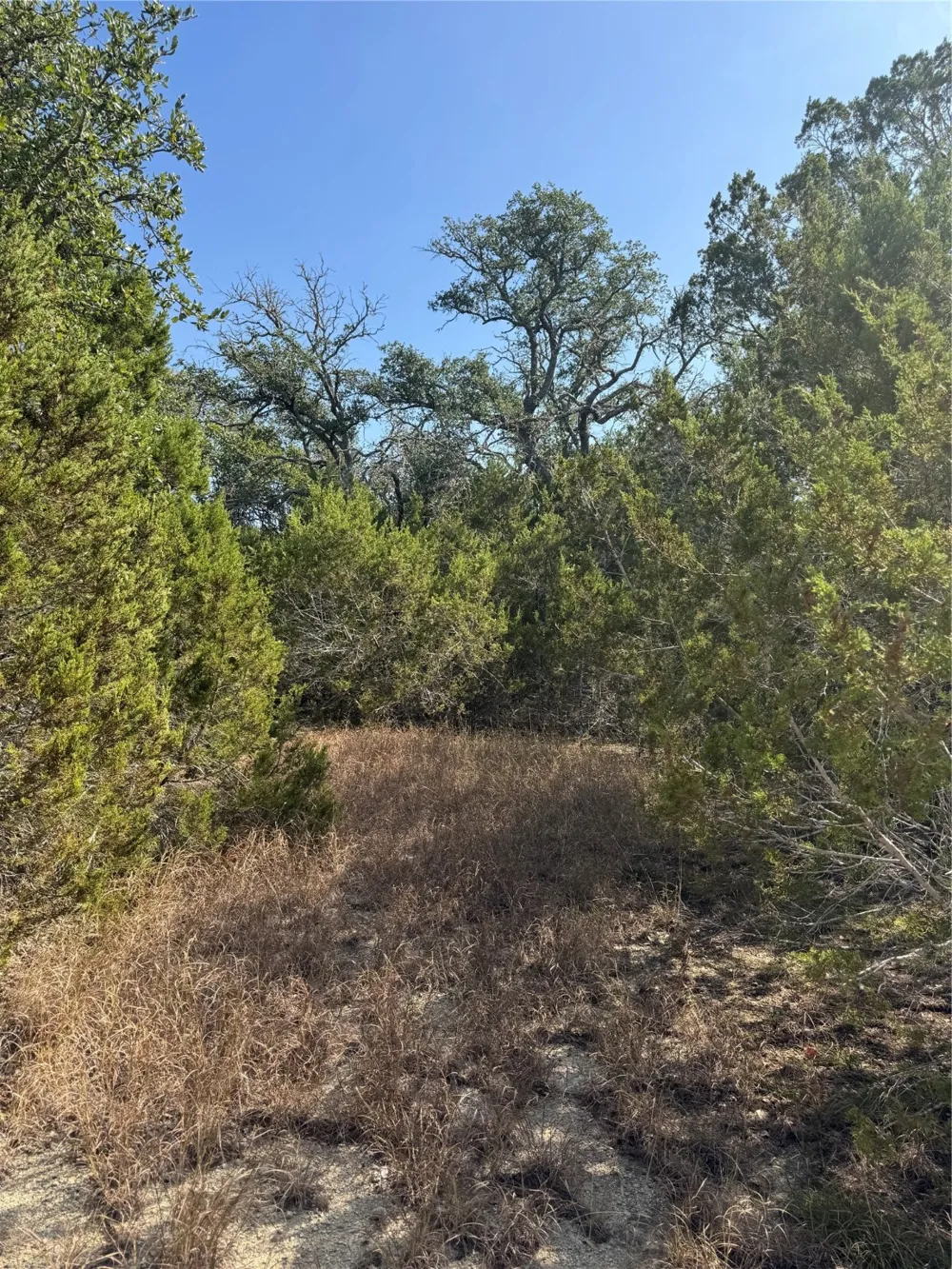 Cr 304 Road Bertram, TX 78605