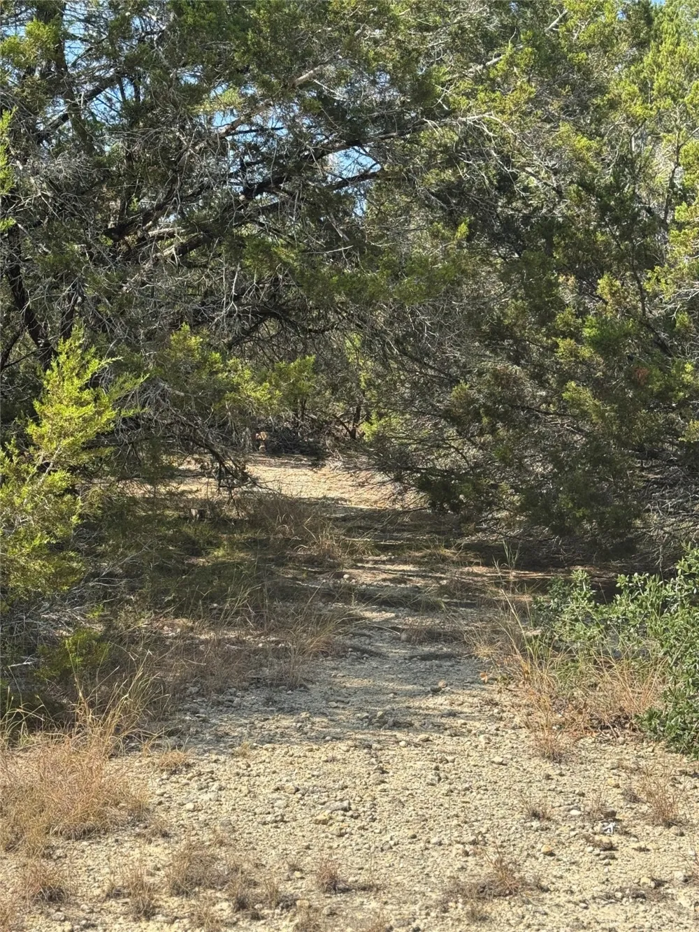 Cr 304 Road Bertram, TX 78605