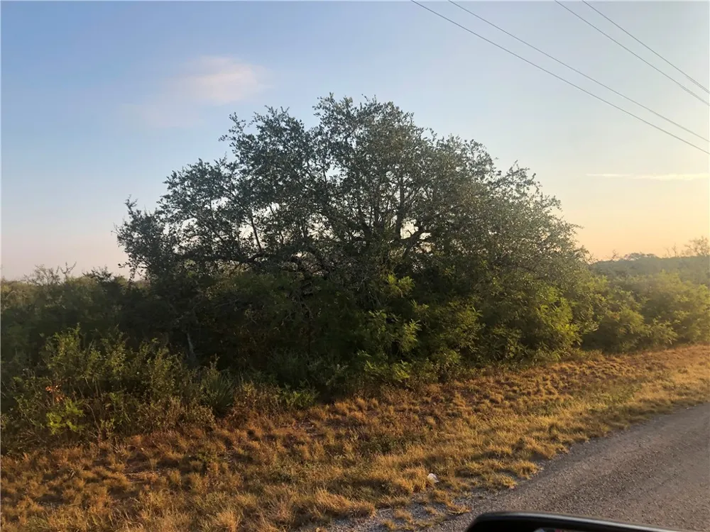 W King Lane Tuleta, TX 78162