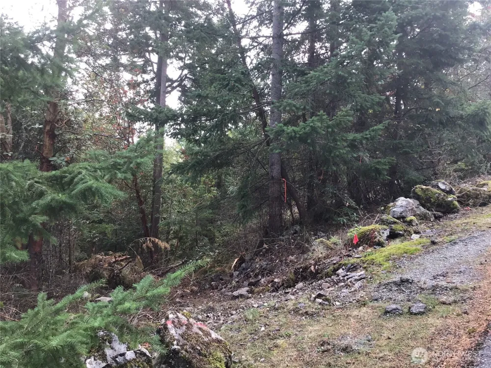 11939 New Morning Drive Anacortes, WA 98221