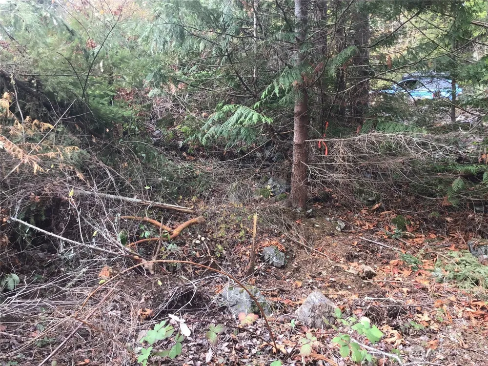11939 New Morning Drive Anacortes, WA 98221