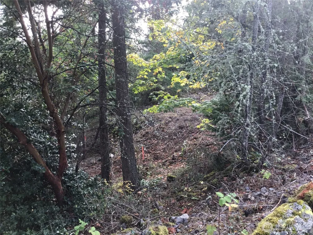 11939 New Morning Drive Anacortes, WA 98221