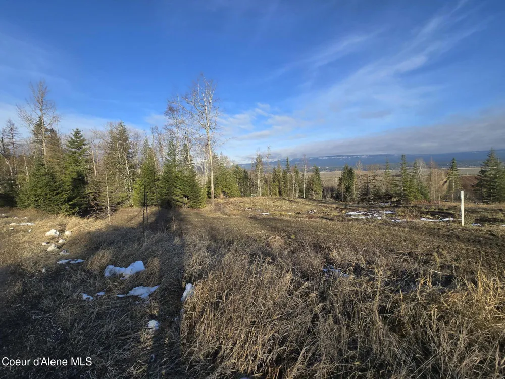 NNA WEST SIDE ROAD PARCEL 2 Bonners Ferry, ID 83805