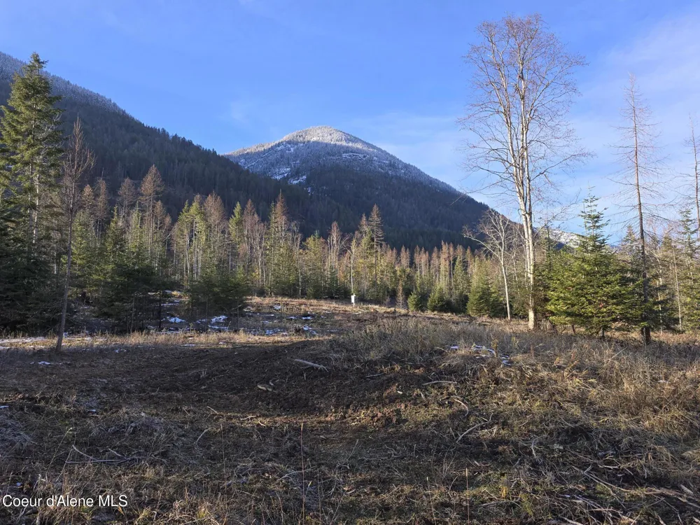 NNA WEST SIDE ROAD PARCEL 2 Bonners Ferry, ID 83805