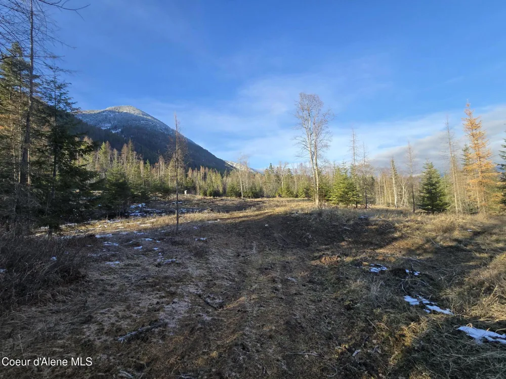 NNA WEST SIDE ROAD PARCEL 2 Bonners Ferry, ID 83805