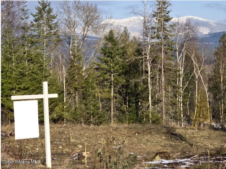 NNA WEST SIDE ROAD PARCEL 2 Bonners Ferry, ID 83805