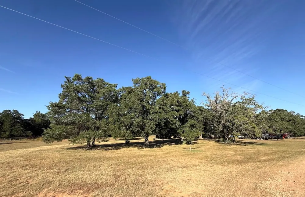 1127 County Road 234 Road Milano, TX 76556
