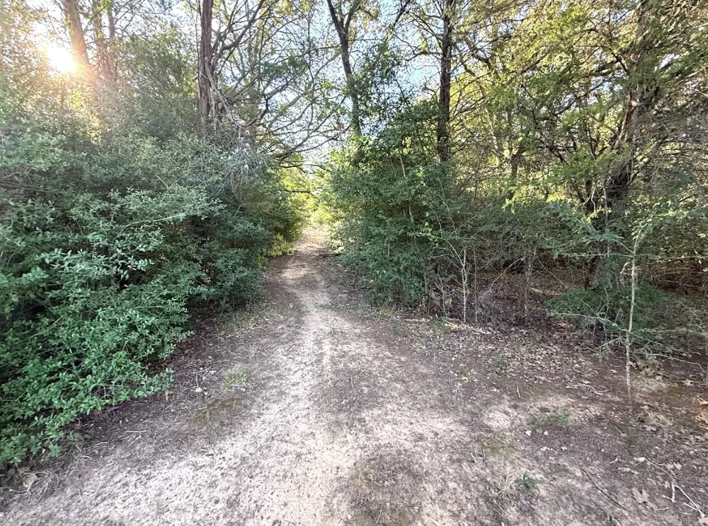 1127 County Road 234 Road Milano, TX 76556