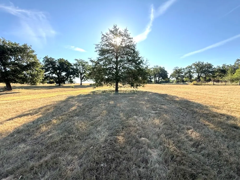 1127 County Road 234 Road Milano, TX 76556