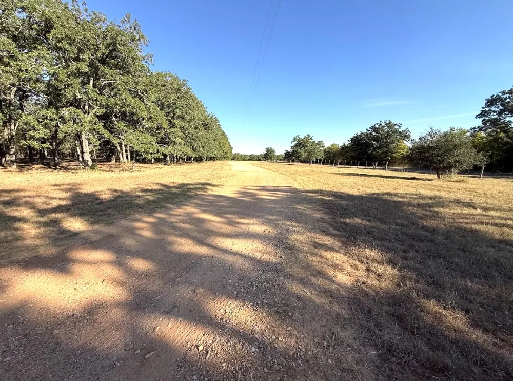 1127 County Road 234 Road Milano, TX 76556