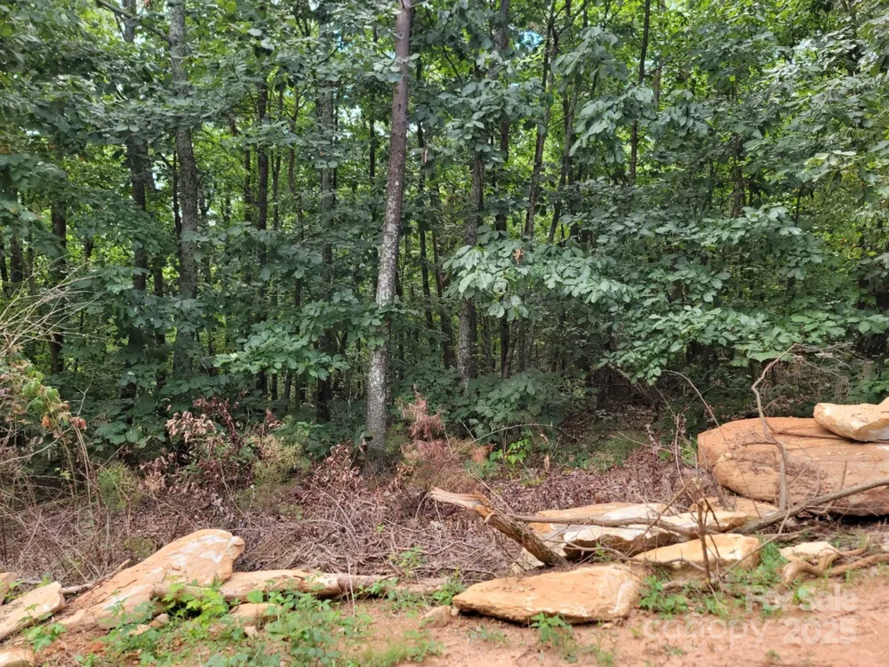219 Judy Road Casar, NC 28020