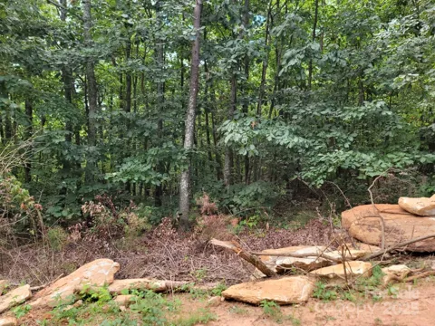 219 Judy Road