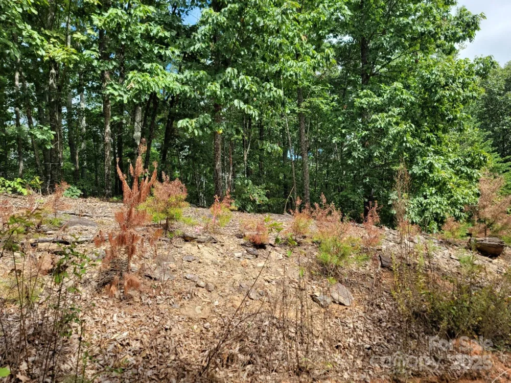 219 Judy Road Casar, NC 28020
