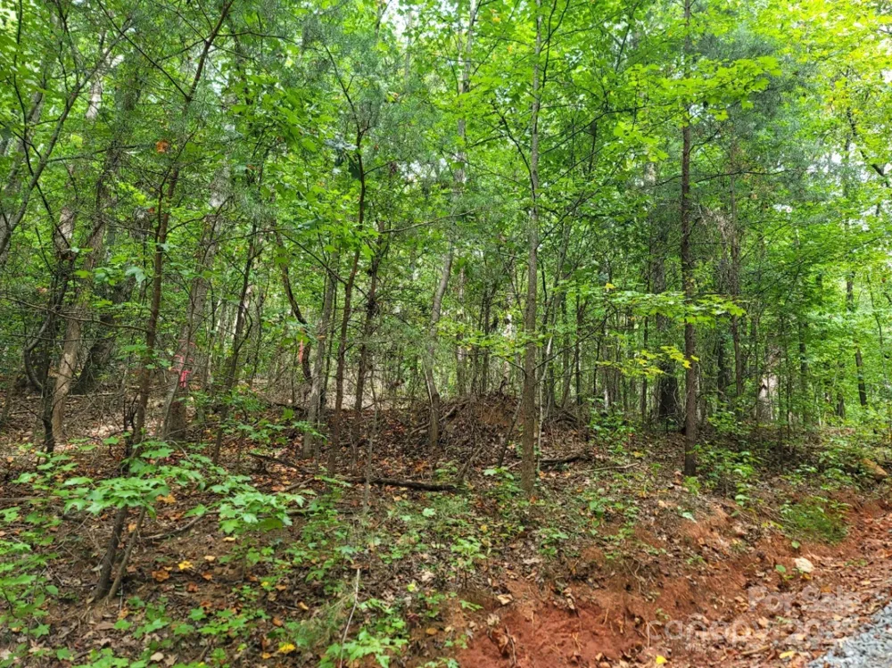 219 Judy Road Casar, NC 28020