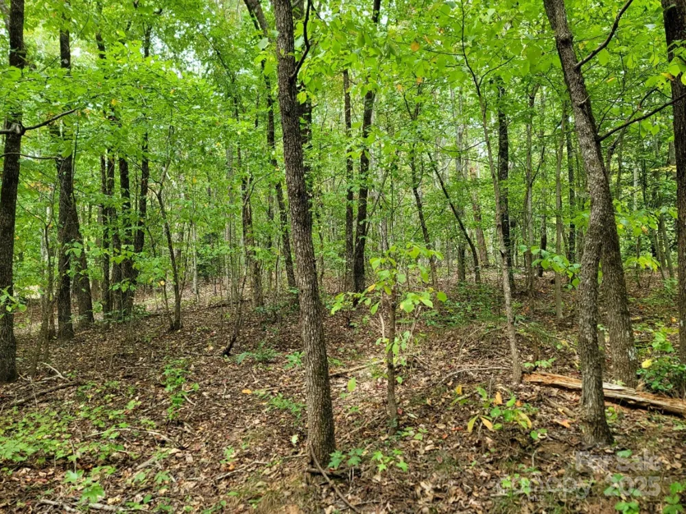 219 Judy Road Casar, NC 28020