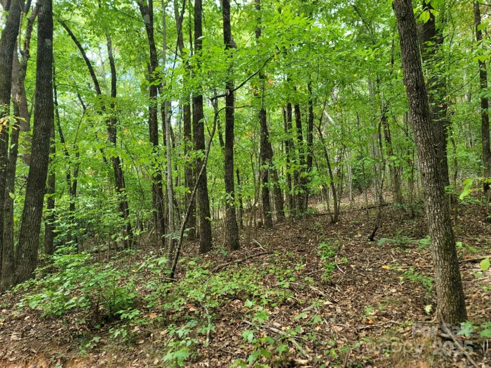 219 Judy Road Casar, NC 28020