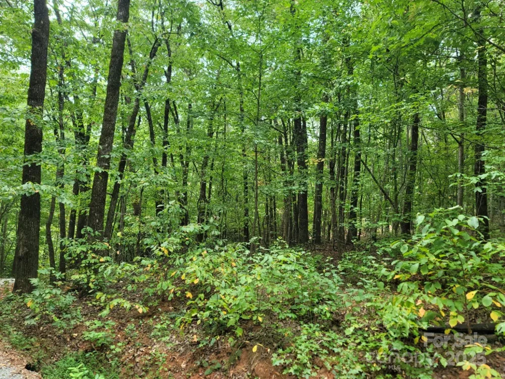 219 Judy Road Casar, NC 28020