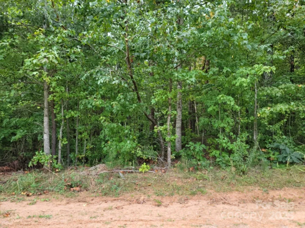 219 Judy Road Casar, NC 28020