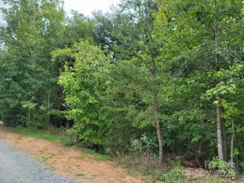 219 Judy Road Casar, NC 28020