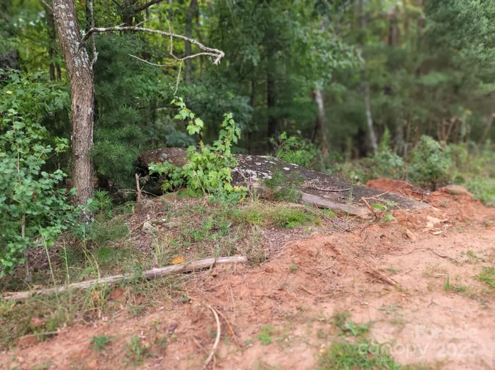 219 Judy Road Casar, NC 28020